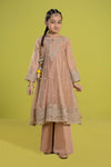 3 Piece Embroidered Organza Suit