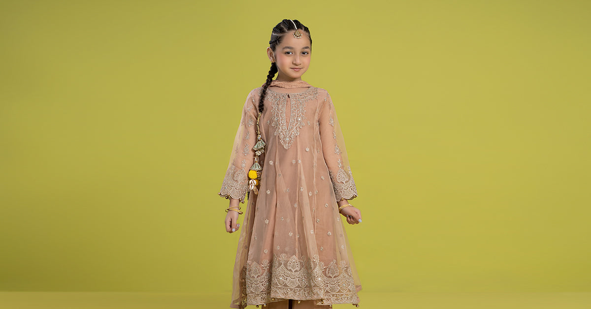 3 Piece Embroidered Organza Suit