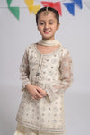 3 Piece Embroidered Organza Suit