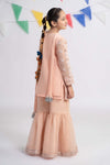 3 Piece Embroidered Organza Suit