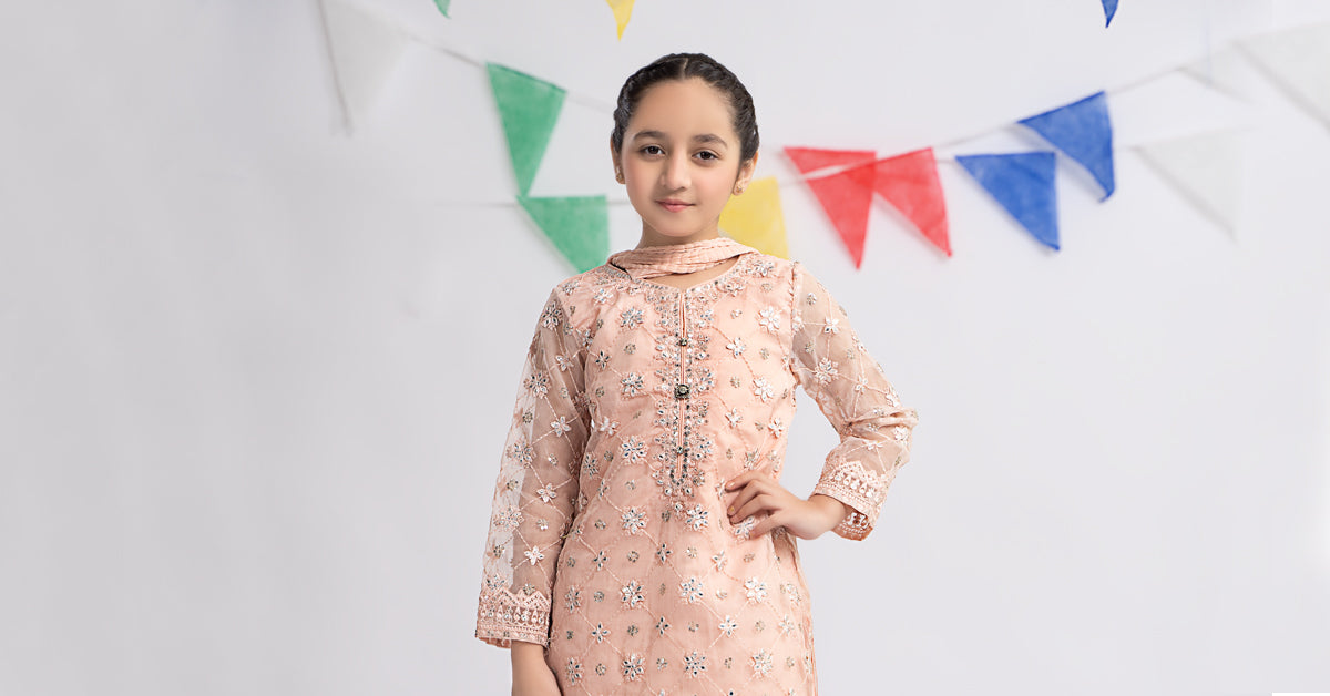 3 Piece Embroidered Organza Suit