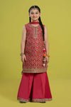 3 Piece Embroidered Organza Suit