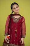 3 Piece Embroidered Organza Suit