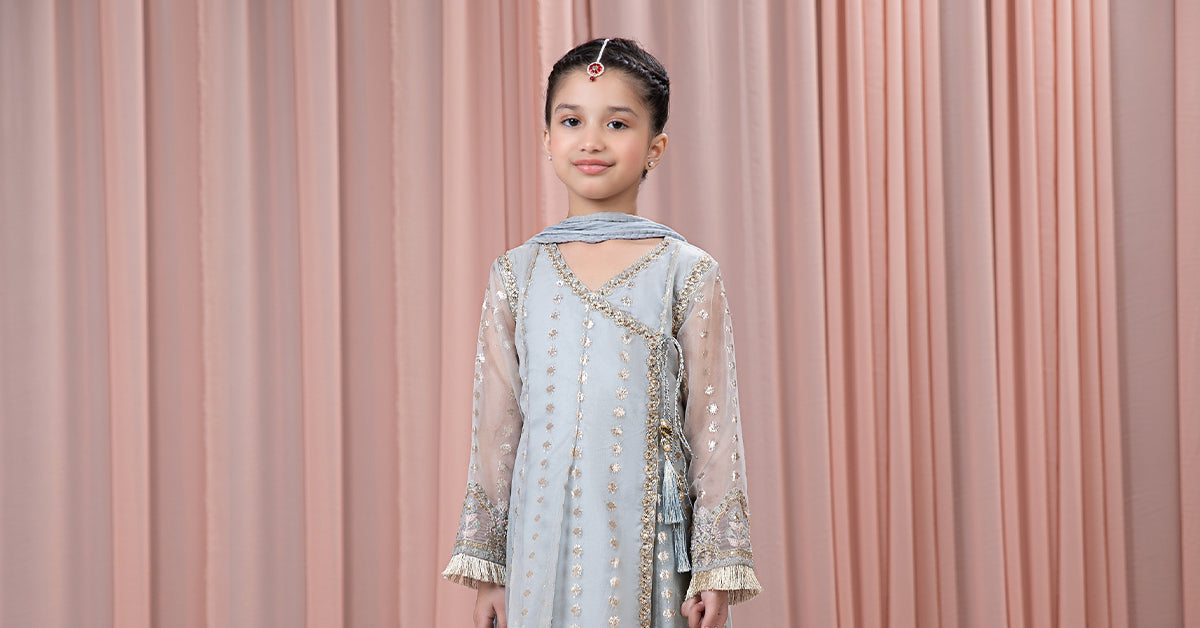 3 Piece Embroidered Organza Suit