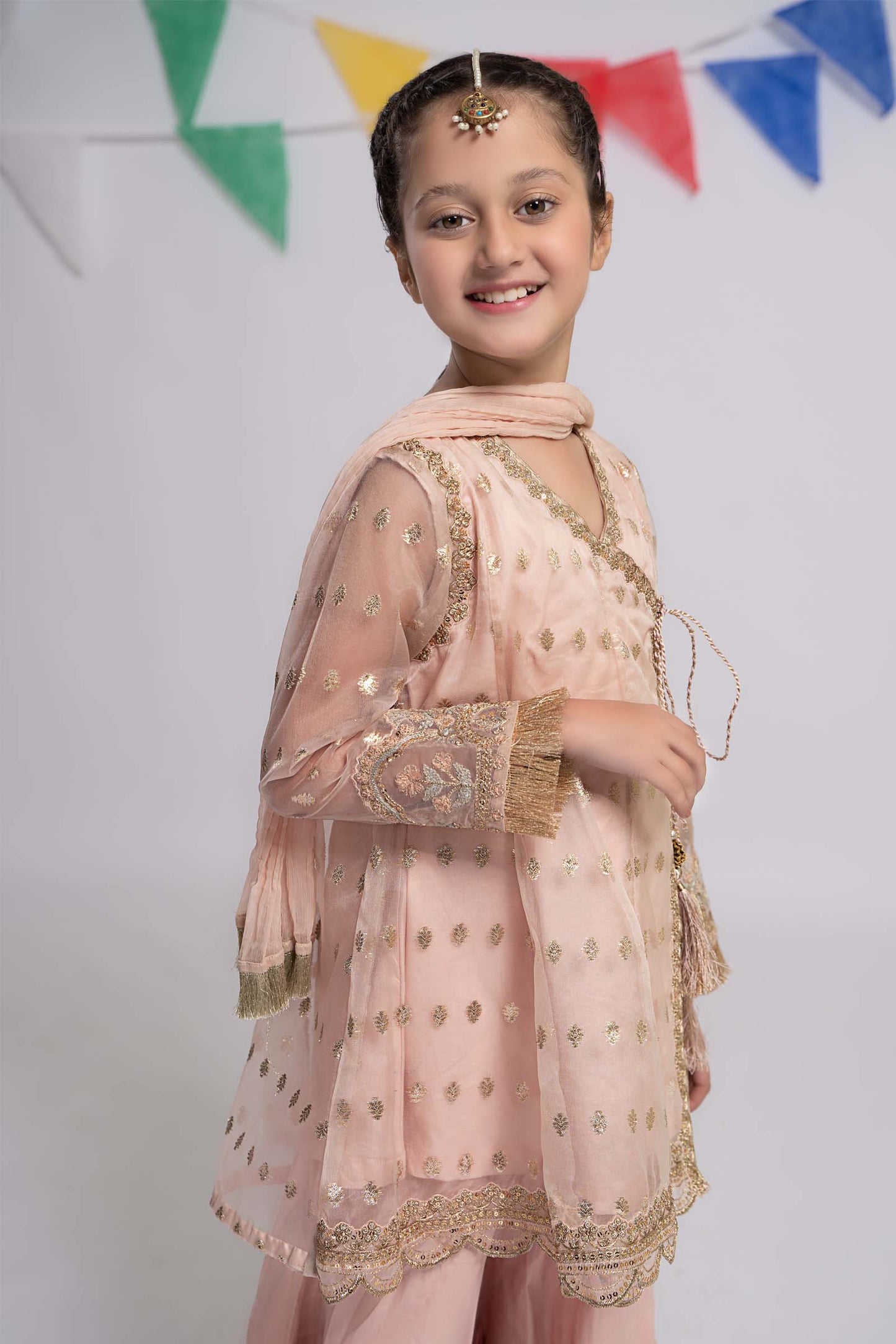 3 Piece Embroidered Organza Suit