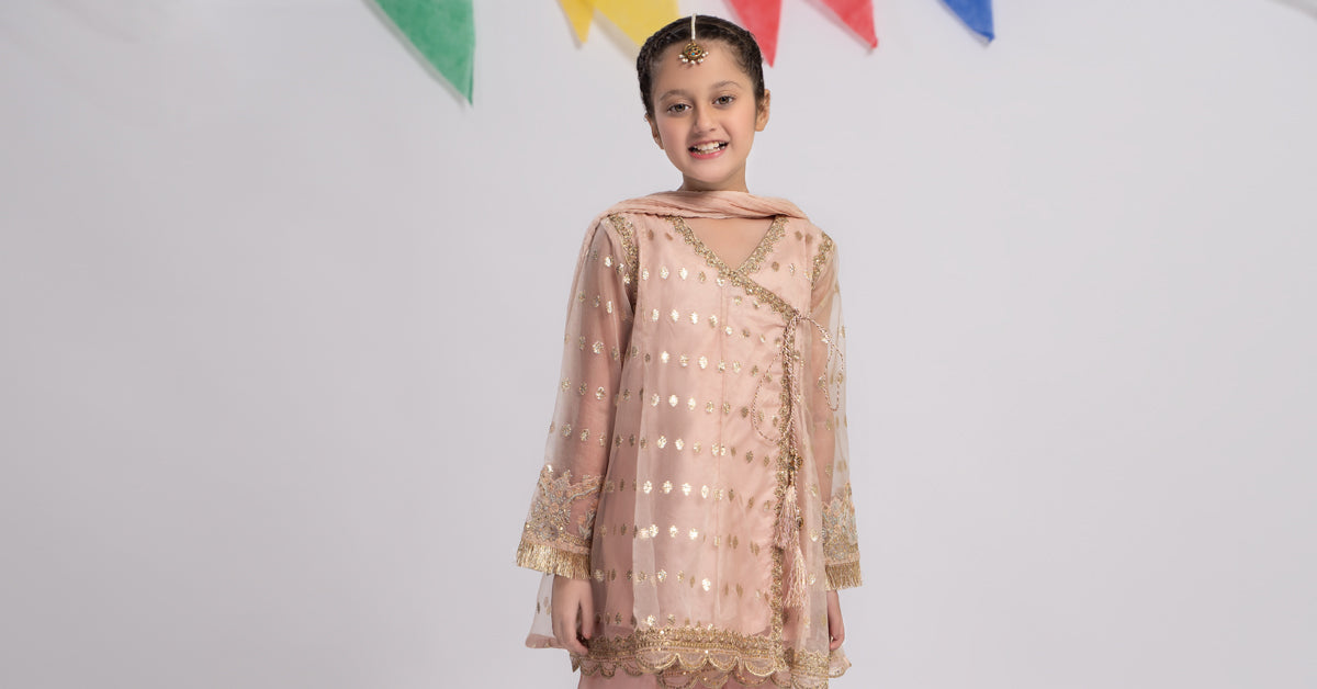 3 Piece Embroidered Organza Suit