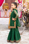 3 Piece Embroidered Organza Suit