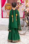 3 Piece Embroidered Organza Suit
