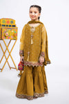 3 Piece Embroidered Organza Suit