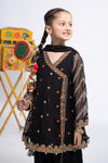 3 Piece Embroidered Organza Suit