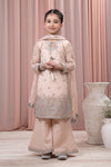 3 Piece Embroidered Organza Suit