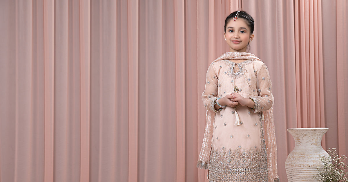 3 Piece Embroidered Organza Suit