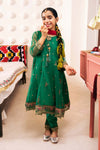 3 Piece Embroidered Organza Suit