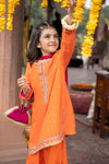 3 Piece Embroidered Silk Suit