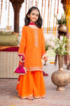 3 Piece Embroidered Silk Suit