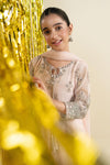 3 Piece Embroidered Net Suit