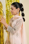 3 Piece Embroidered Net Suit