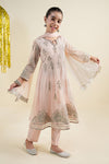 3 Piece Embroidered Net Suit