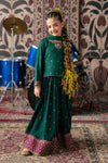 3 Piece Embroidered Raw Silk Suit
