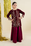 2 Piece Embroidered Velvet Suit