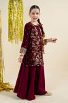 2 Piece Embroidered Velvet Suit