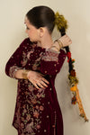2 Piece Embroidered Velvet Suit