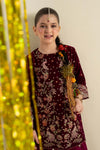 2 Piece Embroidered Velvet Suit