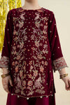 2 Piece Embroidered Velvet Suit