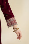 2 Piece Embroidered Velvet Suit