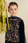 3 Piece Embroidered Velvet Suit