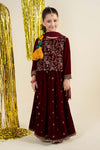 3 Piece Embroidered Velvet Suit