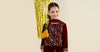 3 Piece Embroidered Velvet Suit