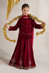 3 Piece Embroidered Velvet Suit