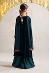 3 Piece Embroidered Velvet Suit