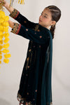 3 Piece Embroidered Velvet Suit