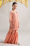 2 Piece Embellished Net Suit