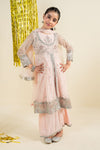 3 Piece Embroidered Net Suit