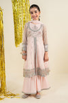 3 Piece Embroidered Net Suit