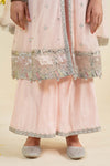 3 Piece Embroidered Net Suit
