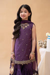 3 Piece Embroidered Suit