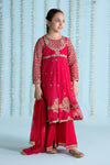 3 Piece Embroidered Net Suit