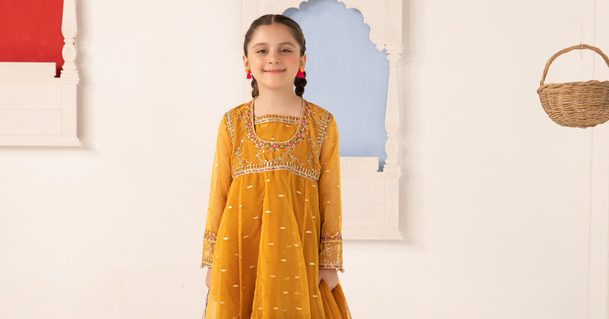 3 Piece Embroidered Lurex Organza Suit