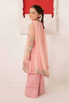 3 Piece Embroidered Organza Suit