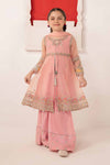 3 Piece Embroidered Organza Suit