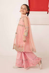 3 Piece Embroidered Organza Suit