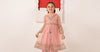 3 Piece Embroidered Organza Suit