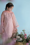 3 Piece Embroidered Organza Suit
