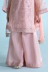 3 Piece Embroidered Organza Suit