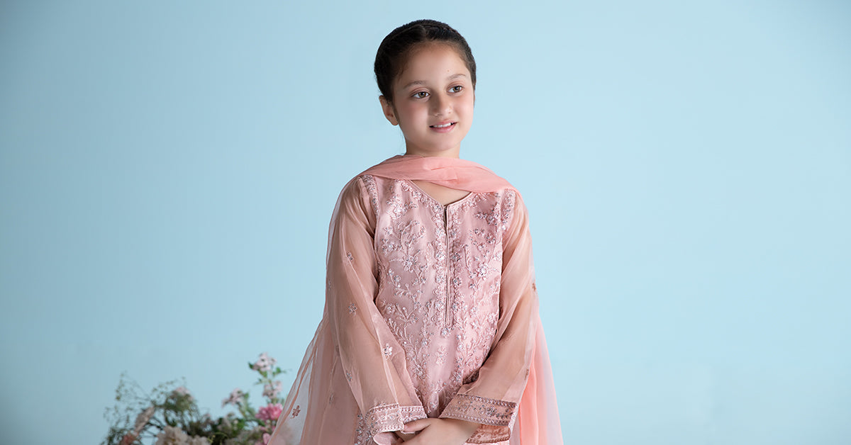 3 Piece Embroidered Organza Suit