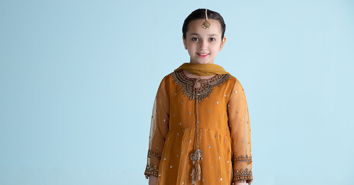 3 Piece Embroidered Organza Suit